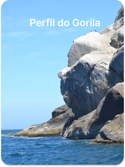 Perfil do Gorila