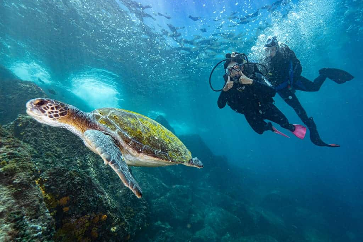 Planeje Seus Passeios em Arraial do Cabo: Dicas e Truques
